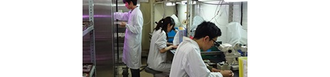 食生命科学科