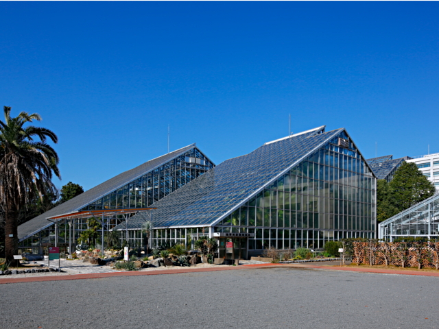 国立科学博物館