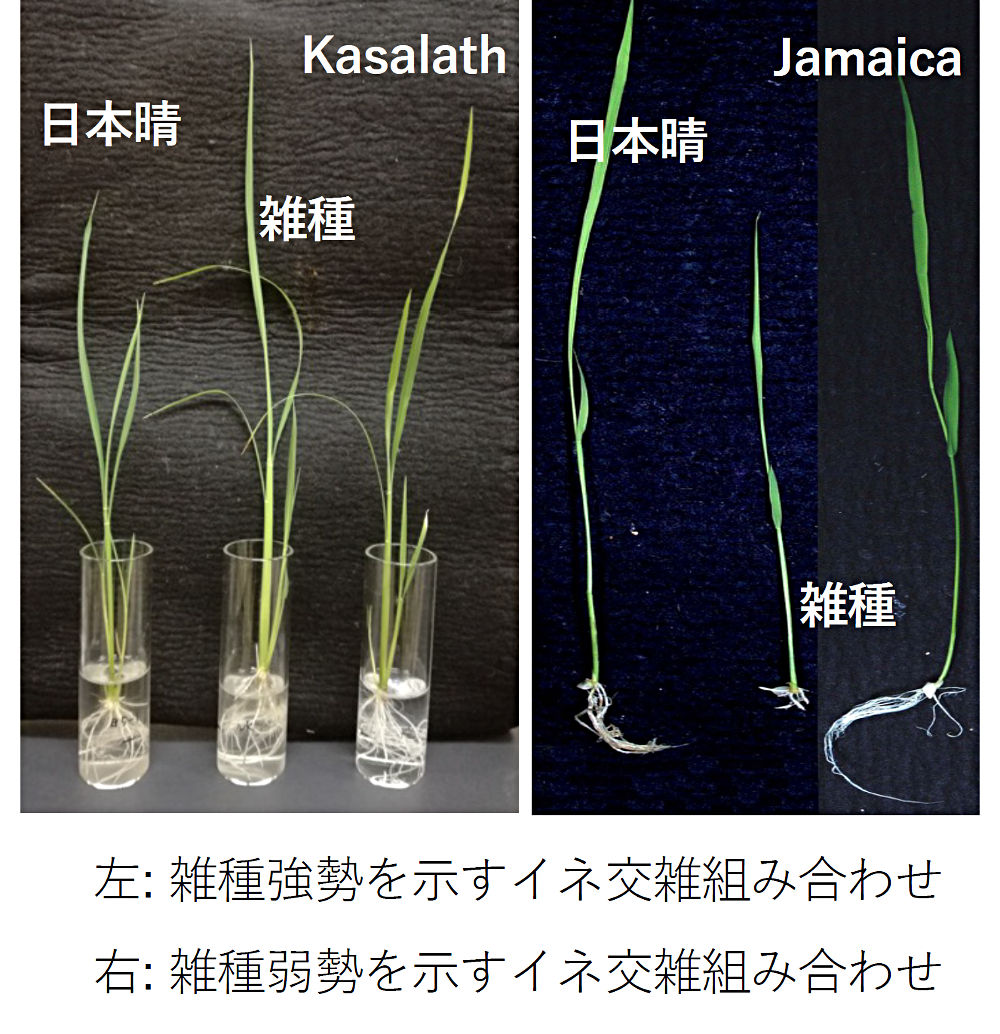 画像1その1