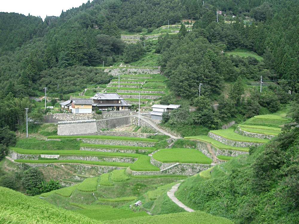画像1その1