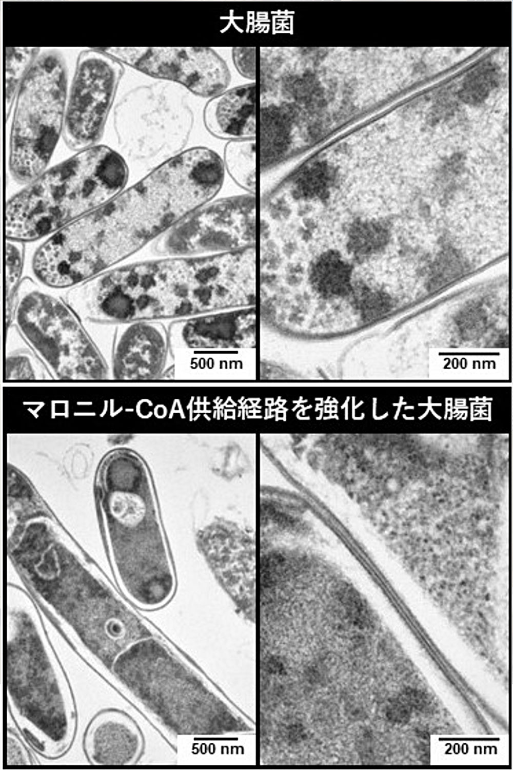 画像2その1