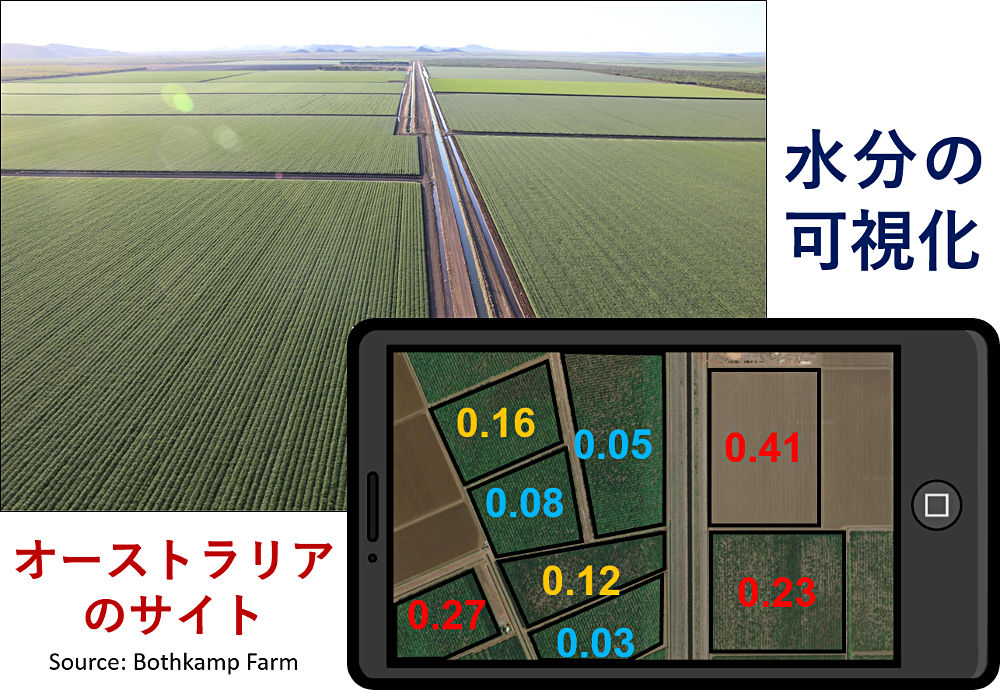 画像1その1