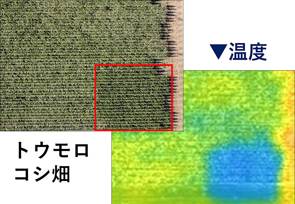 画像2その1