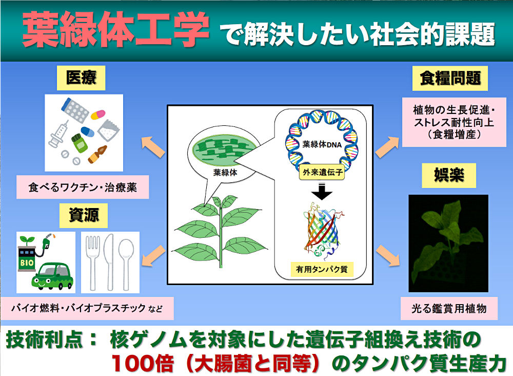 画像1その1