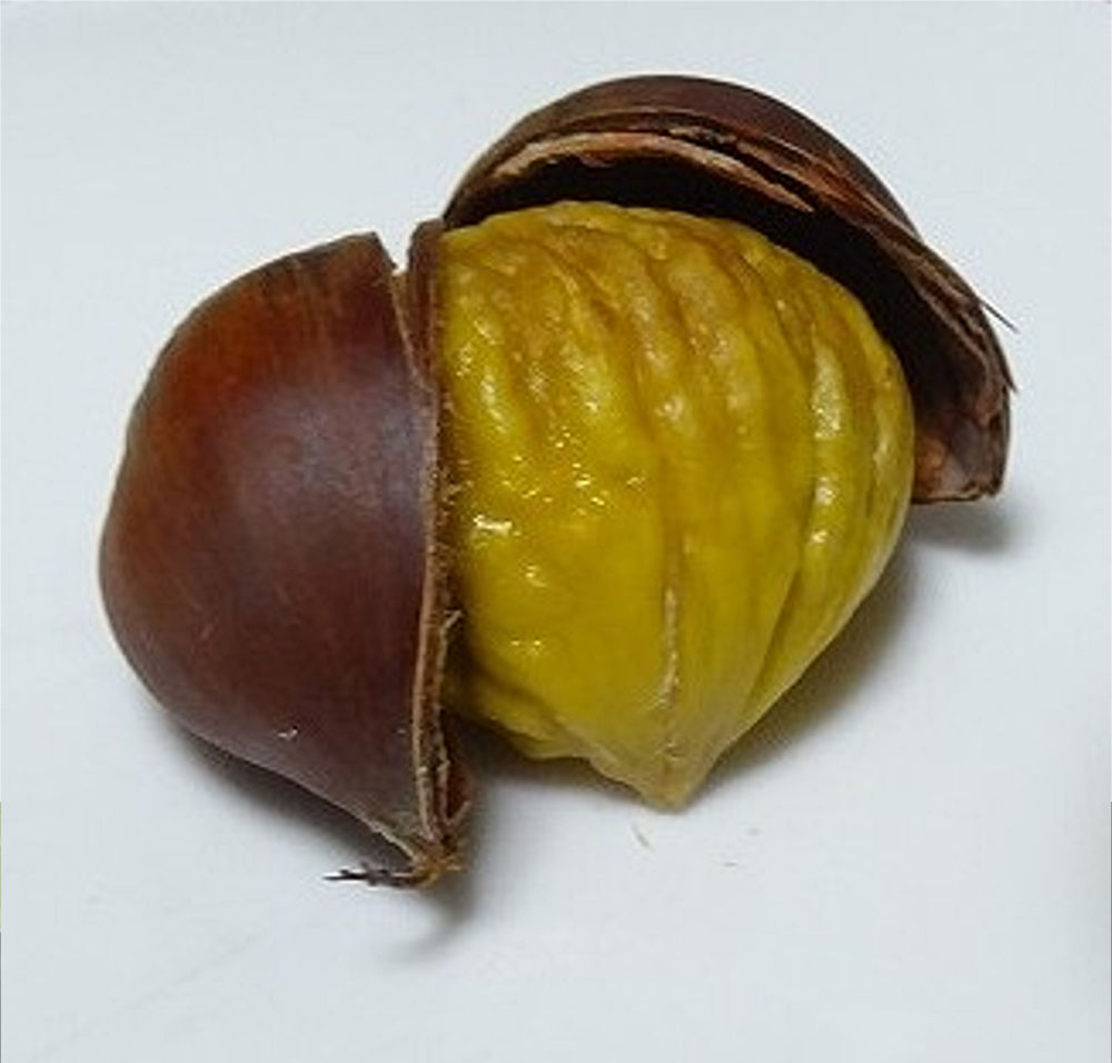 画像1その1
