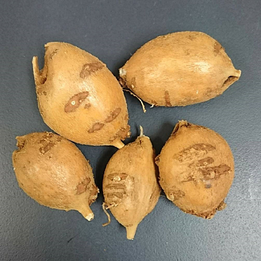 画像1その1
