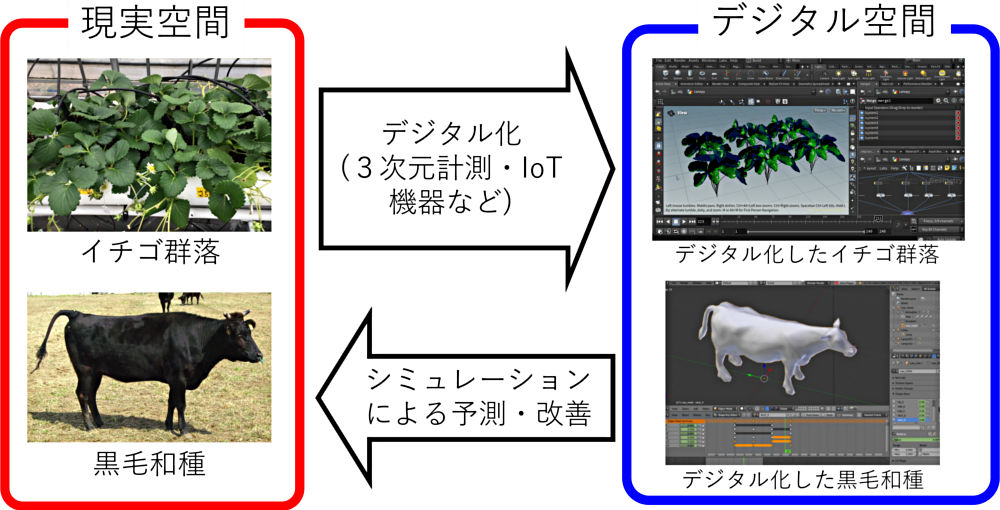 画像1その1