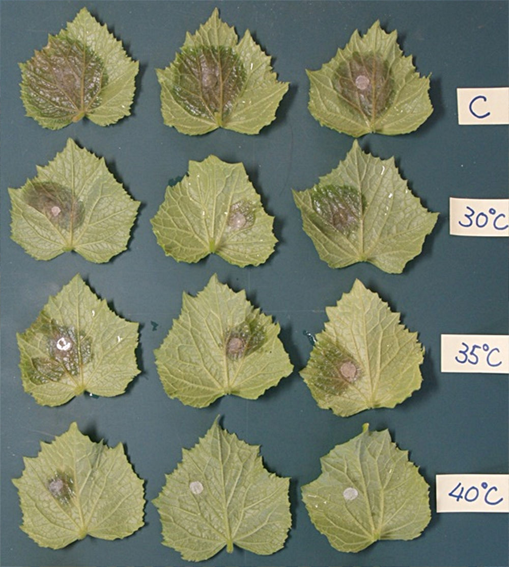 画像1その1