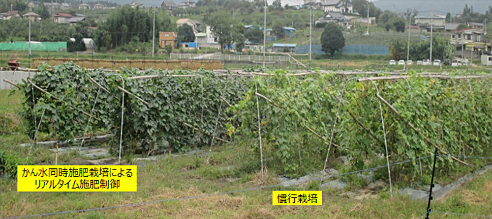 画像2その1