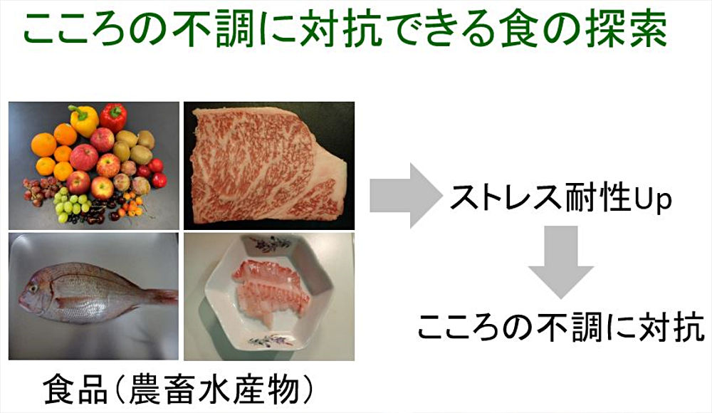 画像1その1