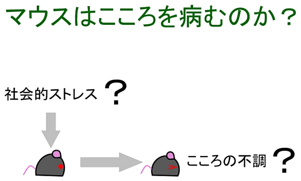 画像2その1