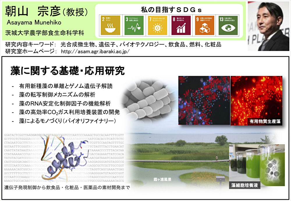 画像1その1