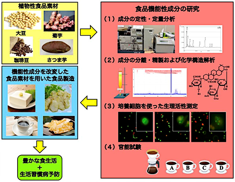 画像1その1